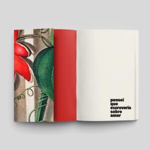 Livro | Pensei que escreveria sobre amor
